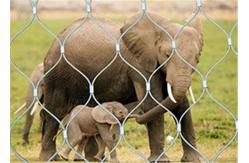 China Knotted Animal Enclosure Mesh Stainless Steel Good Corrosion Resistance supplier