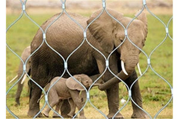 Knotted Animal Enclosure Mesh Stainless Steel Good Corrosion Resistance