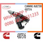 Diesel Engine Fuel Injector 3083849 3087557 4307516 3411845 3411754 3411755 4928517 For QSM11 ISM11 M11 for sale