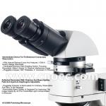 Binocular Zoom Polarizing Light Microscope High Definition For Laboratory