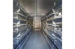 China Sleek and Modern Design Automatic Broiler Feeding System with Electrostatic Spraying supplier