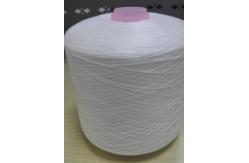 China 20/3 100% Polyester Spun Yarn supplier