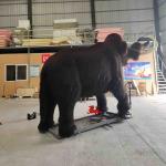 RoHS Realistic Animated Animals Life Size Realistic Mammoth Model for sale