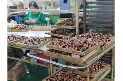 China Electromagnet Coil electrical cooper wire coil air core inductor supplier