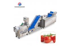 China Customized Potato Fruit And Vegetable Processing Line supplier