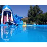 Ocean Theme Inflatable Combo Bounce House Attraction Slide Pool Water Games for sale