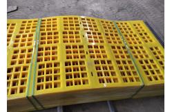 China 30mm Aperture Share D Tensioned Polyurethane Screen Panel supplier
