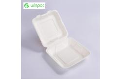 China Sustainable Compostable Sugarcane Bagasse Clamshell Takeaway Containers 8 Inch supplier