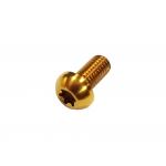 Titanium Disc Brake Screw With Round Hex Head for sale