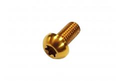 China Titanium Disc Brake Screw With Round Hex Head supplier