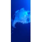Primid 95 / 5 Polyester Resin Low Temp Curing Good Mechanical / Weather Properties
