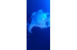 China Primid 95 / 5 Polyester Resin Low Temp Curing Good Mechanical / Weather Properties supplier
