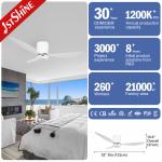 52 Plastic Ceiling Fan With Timer White Modern Low Profile Led Ceiling Fan
