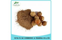 China High Quality Reetha / Soapnut Extract Powder supplier
