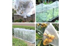 China Eco Friendly And Non Toxic Garden Netting Safety For Plants Vegetables supplier