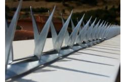 China Barb L64mm Barb Thickness 0.8mm Fence Wall Spikes supplier