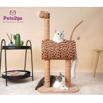 Indoor Giraffe Shaped 0.9kg Cat Climbing Frame for sale