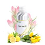 Unisex Concentrated Roll On Perfume Oil Luxury Fragrance 10ml for sale