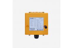 China Telecontrol Radio Remote Control System F23-BB 10 Pushbuttons Remote Crane Controller supplier