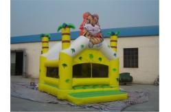 China Inflatable Bouncer / INFLATABLE jump / inflatable palm tree bouncer supplier