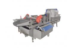 China Leafy Vegetable 1000KG/H Eddie Current Washing Machine supplier