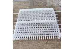 China                  Easy-to-Clean Plastic Conveyor Belts with 27.2mm Pitch              supplier