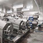 5 - 50T/H Fresh Mango Pulp Plant Automatic Separation Juice Processing for sale