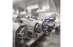 China 380V 50Hz Pineapple Production Line Pineapple Juice Processing Machine supplier