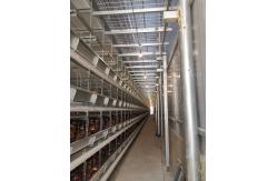 China 1950×2300×2000 Automatic Layer Battery Poultry Chicken Cage Chicken Layer Farming Equipment supplier