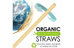 China Customized Design Biodegradable Paper Drinking Straws Earth Friendly BAP Free supplier