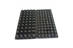 China 105 Holes Rectangular Polystyrene Seed Raising Tray Deep Cell Plug Trays 540X280mm supplier