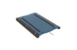 China WWSD 15000kg Axle Weighing Scales For Dynamic Weighing supplier
