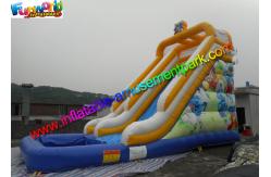 China Customized Outdoor Inflatable Water Slides / Water Slide Pool With PVC Tarpaulin supplier