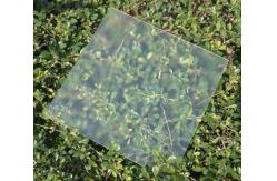 China Hot Sale Frameless Solar Photovoltaic Glass Panel with High Conversion Efficiency supplier