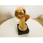Handball Custom Engraved Trophy As Prizes For Winners In Hand Ball Game