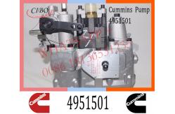 China Diesel Engine Parts Fuel Injection Pump 4951501 3042115 4061206 For Cummins NT855 supplier