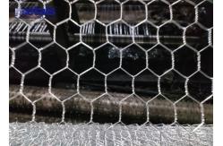 China BWG14 Poultry Galvanized Hexagonal Chicken Wire Mesh Netting 3ft X 100ft supplier