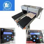 High Speed Food Industry Egg Stamping Machine With USB 2.0 External Interface for sale