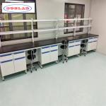 Acceptable OEM/ODM Chemistry Lab Furniture Modern and Practical for sale