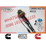 Diesel QSK19 Engine Common Rail Fuel Injector 4955524 4955525 2867149 2882079 4964173