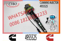 China Diesel QSK19 Engine Common Rail Fuel Injector 4955524 4955525 2867149 2882079 4964173 supplier