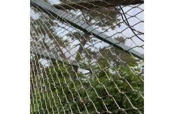 China 2mm Flexible Stainless Steel Wire Rope Mesh Zoo Aviary Netting supplier