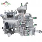 Fuel Injection Pump 1JG410-1111100-493 for YCD4J22T-115 Engine