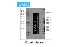 China Twelve-way dual speed switch industrial remote control supplier