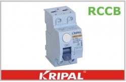 China Residual Current Device Mini Circuit Breaker 2 Pole RCCB 16A 25A 40A 63A supplier