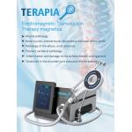 Muscle Pathology Terapia Magnetic Electromagnetic Therapy Machine 6T for sale