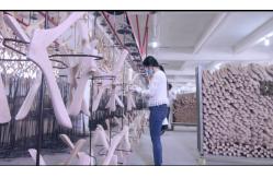 China Hotel Guest Room Accessories manufacturer