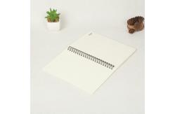 China Custom 80 Sheets Coil Personalized Spiral Notebook School Student For Promotion supplier