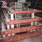 Hot-Dip Galvanized Steel A-Type Layer Battery Cage System with 3 Tiers and Automatic Feeding for Poultry Farms for sale