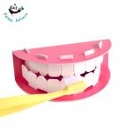 Training Good Habits Preschool Educational Toys Focus On Protecting Teeth for sale